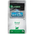 Корм для кошек Farmina Vet Life, при проблемах с почками 400 г