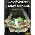 Флорариум с суккулентами Капля Большая