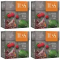 Чай травяной в пирамидках Tess Summer Time (Тесс Самма Тайм), 20*1,8 г (комплект 4 шт.) 6007897
