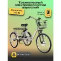 Электровелосипед трехколесный для взрослых РВЗ Чемпион, 350 15, серебро
