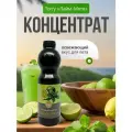 Основа Torry Лайм-Мята, для напитков, коктейлей, десертов, пластиковая бутылка, 1 кг