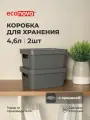 Набор ящиков с крышкой универсальный LUXE, 27х19х12 см, 4,6л, 2 шт, серый