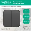Выключатель Schneider Electric Blanca двухклавишный антрацит для открытой проводки (комплект из 2 шт)