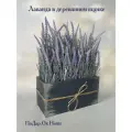 Искусственная лаванда в ящике для дома и офиса, ПоДар. Ок Home