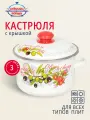 Кастрюля эмалированная сталь, 3 л, с крышкой, крышка сталь, Сибирские товары, Оливки и черри, 3MD181M, индукция