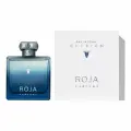 Мужская парфюмерная вода Roja Parfums Elysium Eau Intense, фужерный аромат, 100 мл