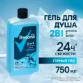 Шампунь и гель для душа 2 в 1 Rexona Men Горный лед защита от запаха пота до 12 часов* 750 мл