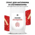 Грунт для ароидных: антуриумов, спатифиллумов, монстер, филодендронов, аглаонем, марантовых, калатеи(Purshat) 10 л
