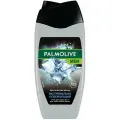 Гель для душа Palmolive Men Арктический ветер 3 в 1 для тела лица и волос 250мл х 2шт