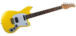 E1000-YW Experience 1000 Электрогитара со встроенным процессором эффектов, желтая, Flamma