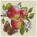 Набор для вышивания Белоснежка Яблоки на ветке 30x30 см, Бабочки Насекомые Еда