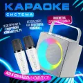Супер караоке с двумя микрофонами и различными эффектами . Подключение к смартфону и телевизору .