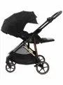 Прогулочная коляска Peppy Amici (Black) рама Gold (LX) Переставной блок