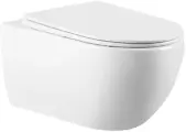 Чаша для унитаза Vincea Evo VT1-34 цвет белый, подвесной