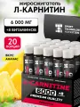 L-карнитин 6000 SPORTTECH, ананас, 20 ампул*25мл, жиросжигание, похудение, сушка, энергия, работоспособность