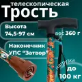 Трость телескопическая с прямой пластмассовой ручкой с устройством против скольжения Затвор ТР1(ПР)(Весенний сад)