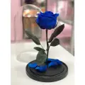 Синяя роза в колбе Премиум в подарочной коробке с вау эффектом/26 см/Живет 5 лет!