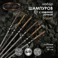 Набор шампуров, 45 см, 6 шт Огонь для мангала, шашлыка, подарочный