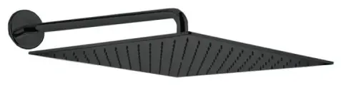 Верхний душ Webert AC0842560, черный