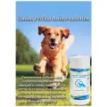 Canina Petvital Arthro-Tabletten кормовая добавка для животных для укрепления суставов 500 гр (1 шт)