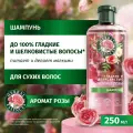 Хербал Эссенсес шампунь 250мл Аромат розы 8700216441452