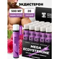 Экдистерон 500мг SPORTTECH, малина, 20ампул*25мл, мужская сила, энергия, выносливость, настроение, бустер тестерона