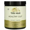 Terra Origin, Healthy Gut™, персик и банан, 234 г (8,25 унции)