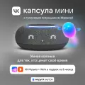 Умная колонка VK Капсула Мини с голосовым помощником Марусей, MRC02, Тёмно серая, 3 месяца подписки VK + Wink в подарок