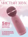 Профессиональная караоке система для дома, портативная, колонка с микрофоном, 5 видов изменения голоса, FM радио, розовая
