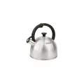 Чайник металлический Rondell RDS-1297 стальной