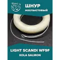 Нахлыстовый шнур LIGHT SCANDI TAPER WF9F 9 класса, плавающий, KOLA SALMON