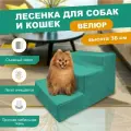 Лестница для собак 3 Ступени 60х40х36 см Бирюзовый