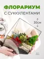 Geo Glass: Флорариум с суккулентами , ваза для флорариума , суккууленты живые , подарок
