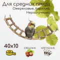 Лесенка из орешника для попугаев и птиц 40х10 см