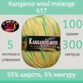 Пряжа Color City Kangaroo wool melange 617 (100г/300м, упаковка 5 мотков)