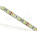 ShopLEDs Светодиодная лента SL SMD 5050, 300 Led, IP65, 12V, Standart (белый 6000K), 5м