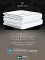 PRIME PRIVE Одеяло 200x220 евро Climalast всесезонное, облегченное 200 г/м2, микроволокно Climafiber