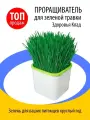 Электрическая мощная чудо грядка Zdorovya Klad/TM Белый домашний проращиватель аэросад