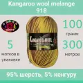 Пряжа Color City Kangaroo wool melange 918 (100г/300м, упаковка 5 мотков)