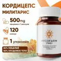 Кордицепс милитарис (Cordyceps militaris) 120 капсул по 0,5 грамм, микс мицелий и плодовые тела