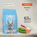 Smart Cat Сухой корм для стерилизованных кошек с чувствительным пищеварением с лососем, SENSITIVE DIGESTION, STERILISED, Salmon, 5кг