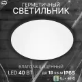 Светильник LEEK BL, светодиодный, влагозащищенный, холодный белый свет, 40W, IP65