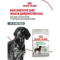 Сухой корм для собак крупных пород Royal Canin Maxi Digestive Care при чувствительном пищеварении, 3 кг