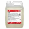 Моющее средство для фасадов и дорожных покрытий Prosept Duty Hard + (5л)