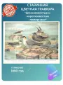 Цветная гравюра Длиннохвостые и короткохвостые поморники XIXвек №32