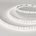 040602 Светодиодная лента Arlight RT-B96-10mm 24V Day5000 (23 W/m, IP20, 5060, 5m) (Arlight, Открытый)