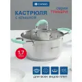 Кастрюля нержавеющая сталь, 1.7 л, крышка стекло, силиконовые ручки мятные, круглая, Daniks, Гринери, SD-23-16, индукция