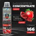 Sportline Nutrition L-карнитин Concentrate, 500 мл., гранат