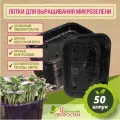 Лотки для проращивания микрозелени и беби листьев 50шт