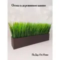 Искусственная осока в ящике для дома и офиса, ПоДар. Ок Home